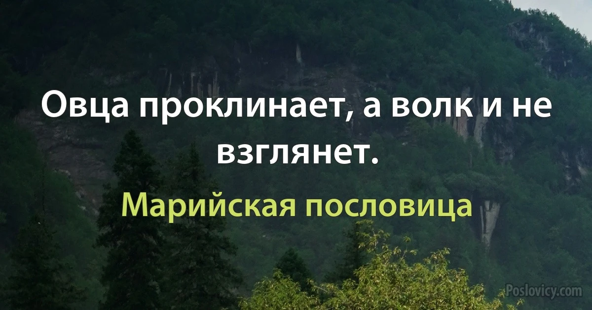 Овца проклинает, а волк и не взглянет. (Марийская пословица)