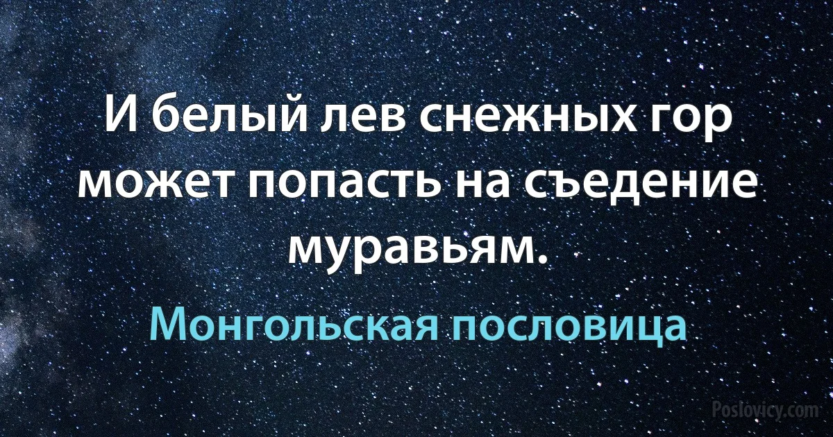 И белый лев снежных гор может попасть на съедение муравьям. (Монгольская пословица)