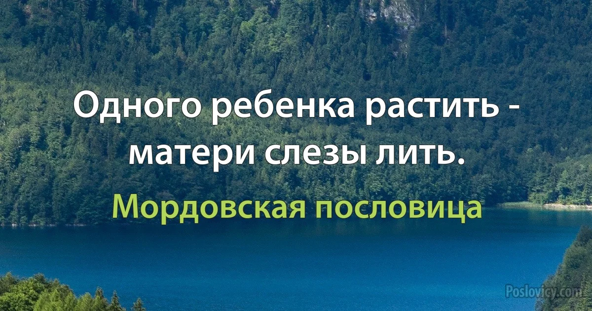 Одного ребенка растить - матери слезы лить. (Мордовская пословица)