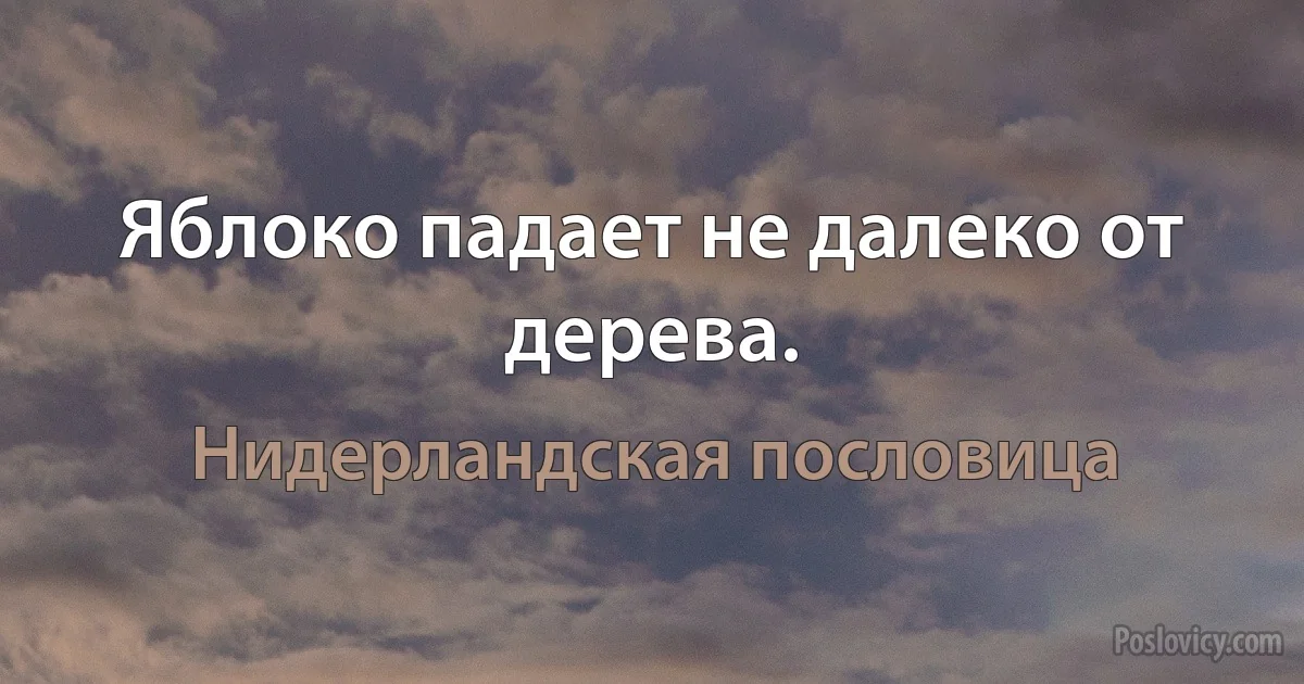 Яблоко падает не далеко от дерева. (Нидерландская пословица)