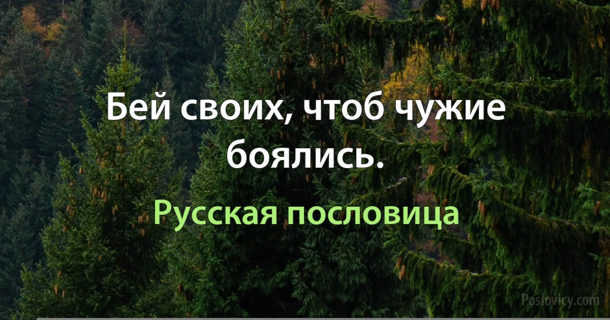 Бей своих, чтоб чужие боялись. (Русская пословица)