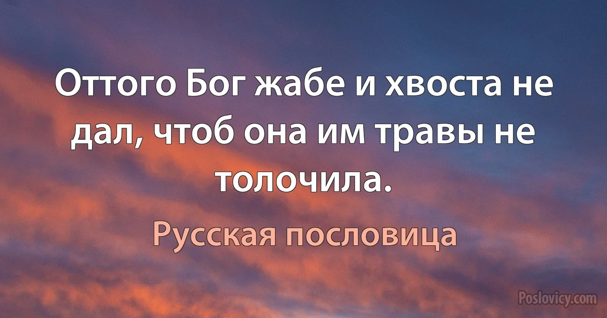 Оттого Бог жабе и хвоста не дал, чтоб она им травы не толочила. (Русская пословица)