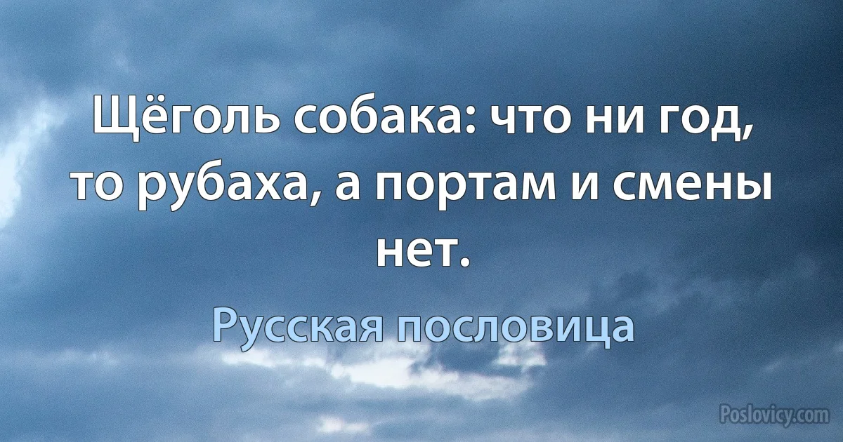 Щёголь собака: что ни год, то рубаха, а портам и смены нет. (Русская пословица)