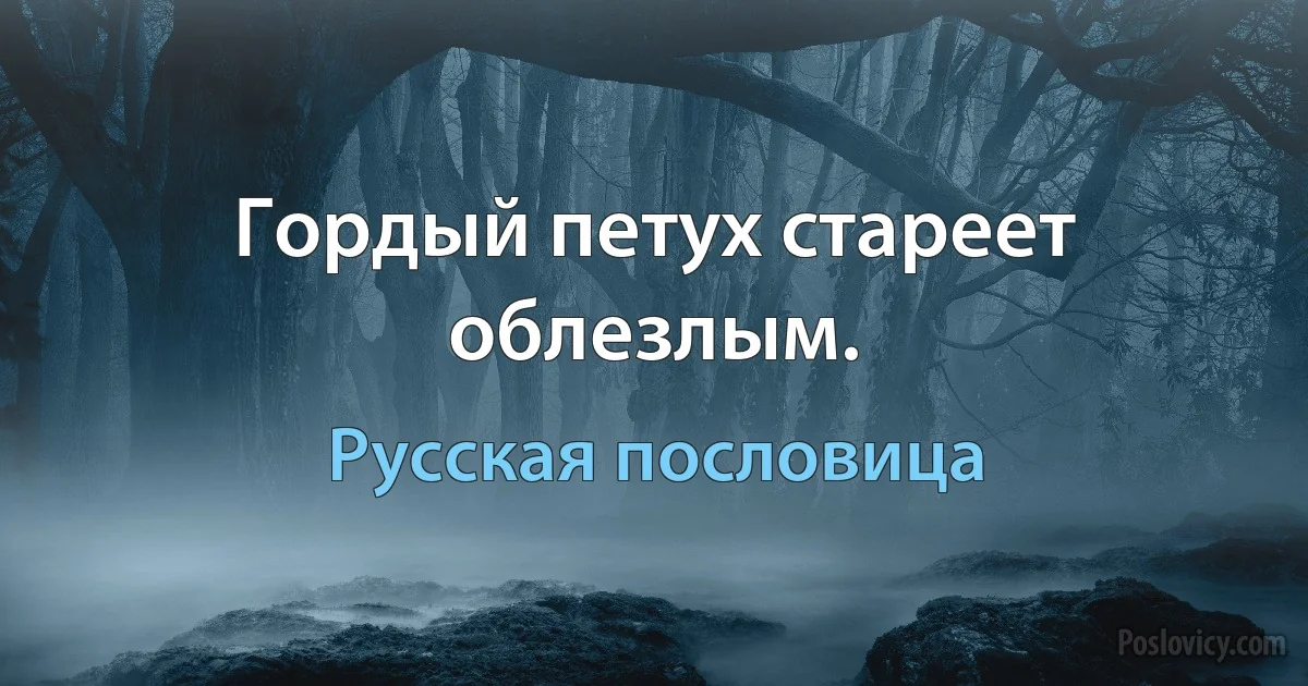 Гордый петух стареет облезлым. (Русская пословица)