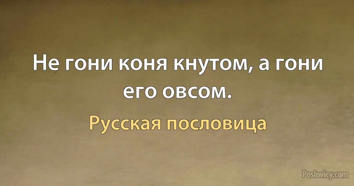 Не гони коня кнутом, а гони его овсом. (Русская пословица)