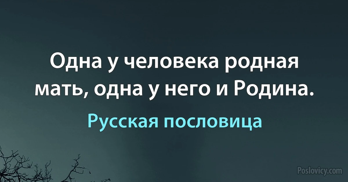 Одна у человека родная мать, одна у него и Родина. (Русская пословица)