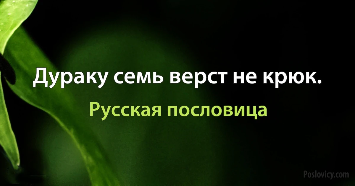 Дураку семь верст не крюк. (Русская пословица)