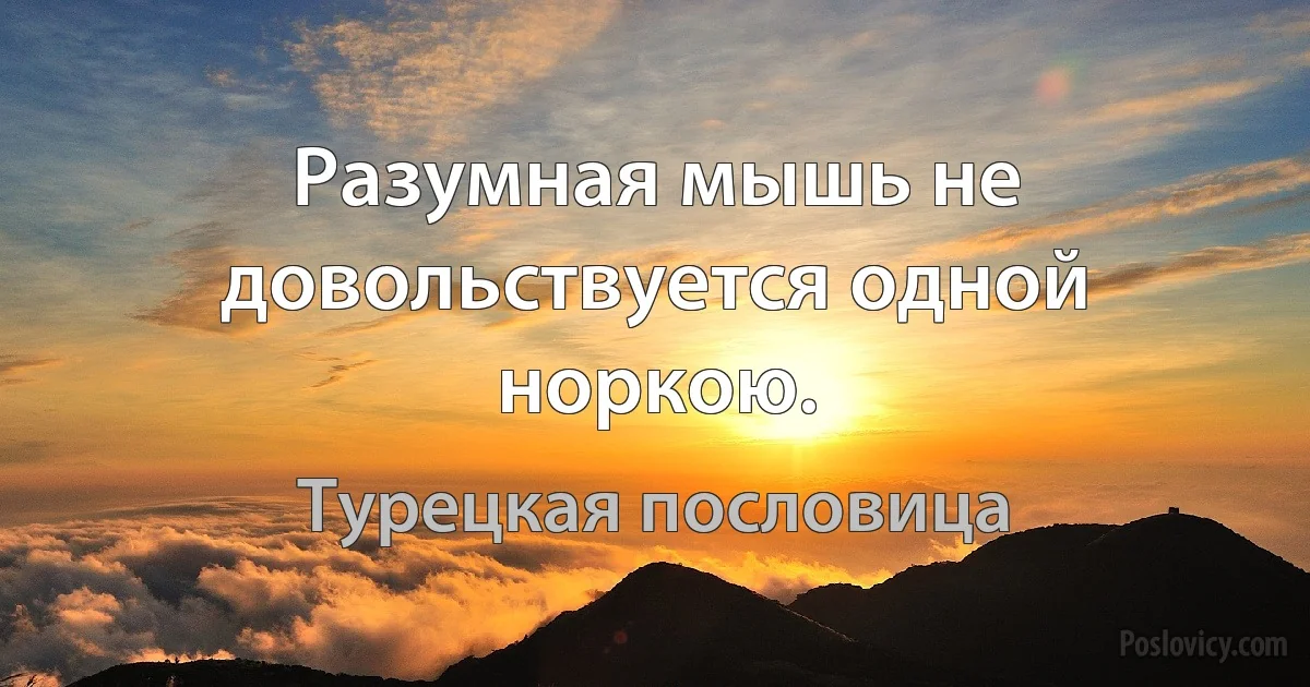 Разумная мышь не довольствуется одной норкою. (Турецкая пословица)