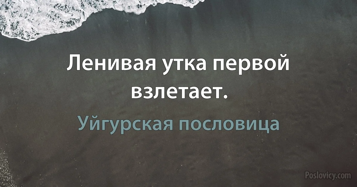 Ленивая утка первой взлетает. (Уйгурская пословица)