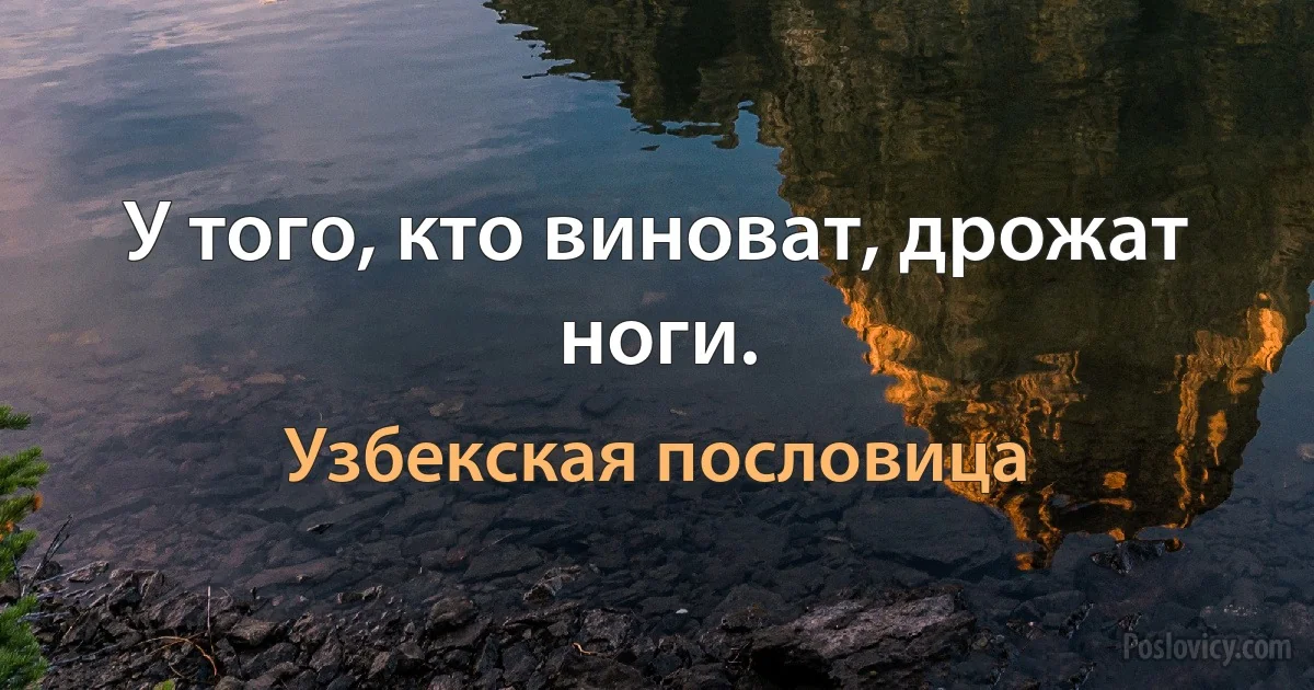 У того, кто виноват, дрожат ноги. (Узбекская пословица)