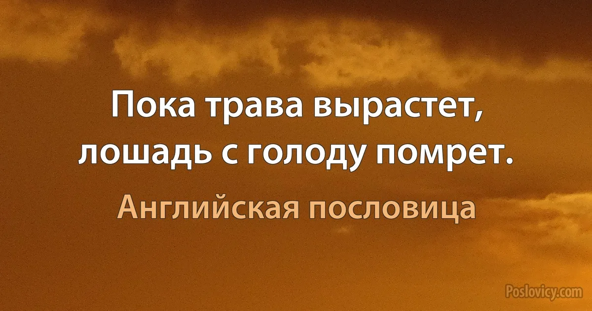 Пока трава вырастет, лошадь с голоду помрет. (Английская пословица)