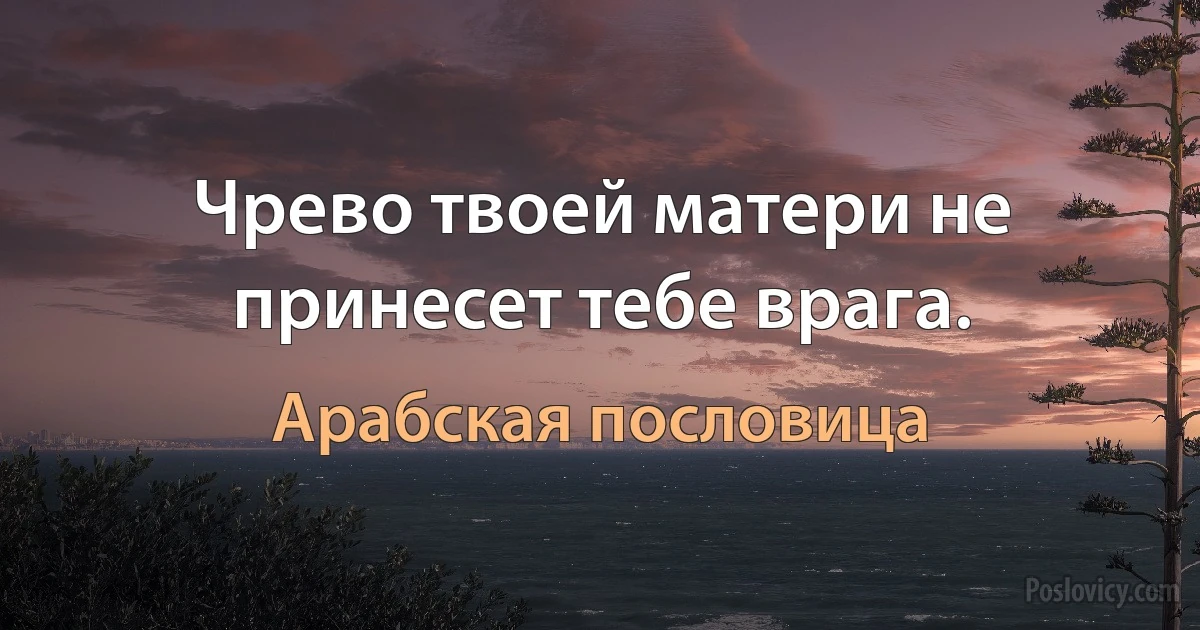 Чрево твоей матери не принесет тебе врага. (Арабская пословица)