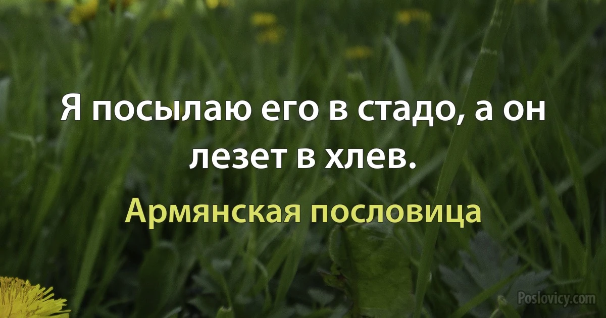 Я посылаю его в стадо, а он лезет в хлев. (Армянская пословица)