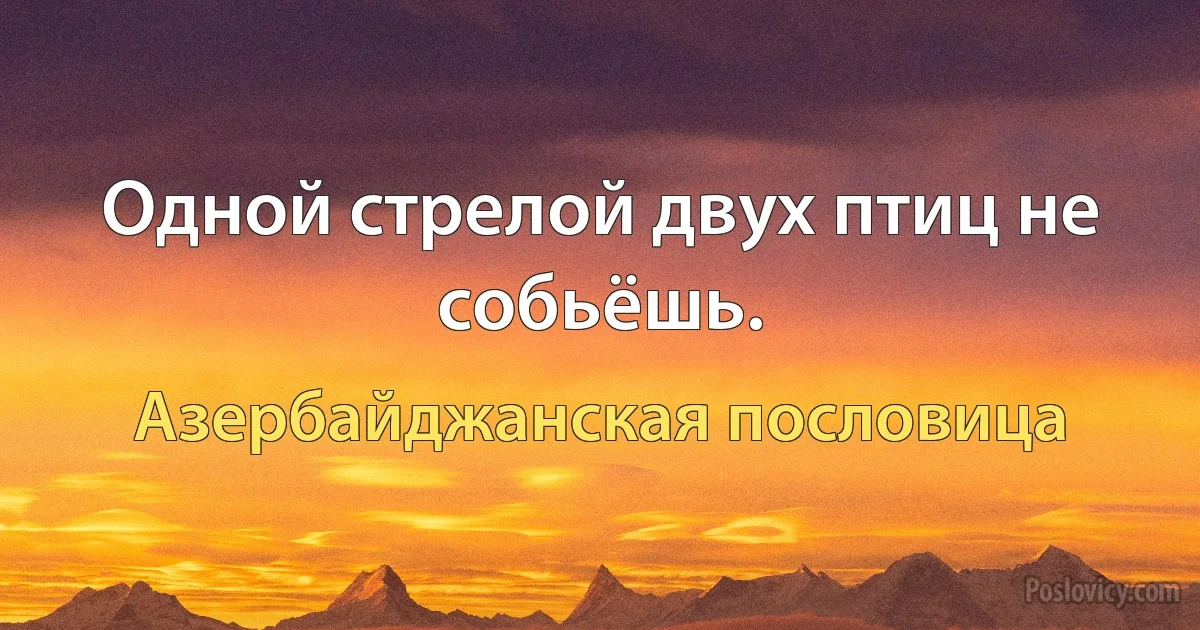 Одной стрелой двух птиц не собьёшь. (Азербайджанская пословица)