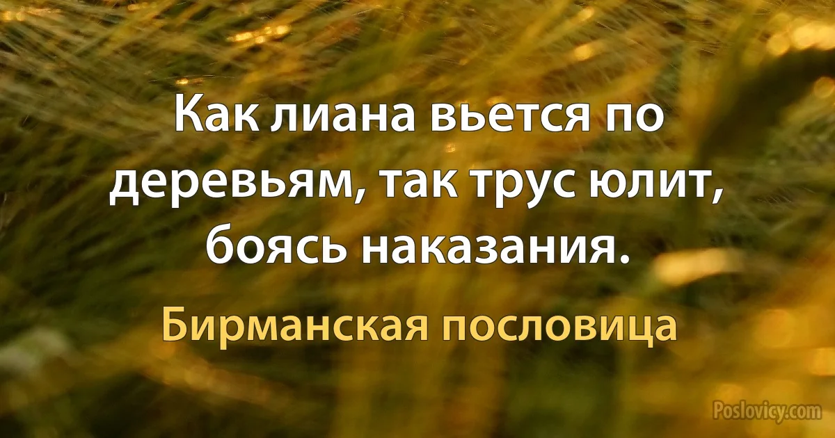 Как лиана вьется по деревьям, так трус юлит, боясь наказания. (Бирманская пословица)