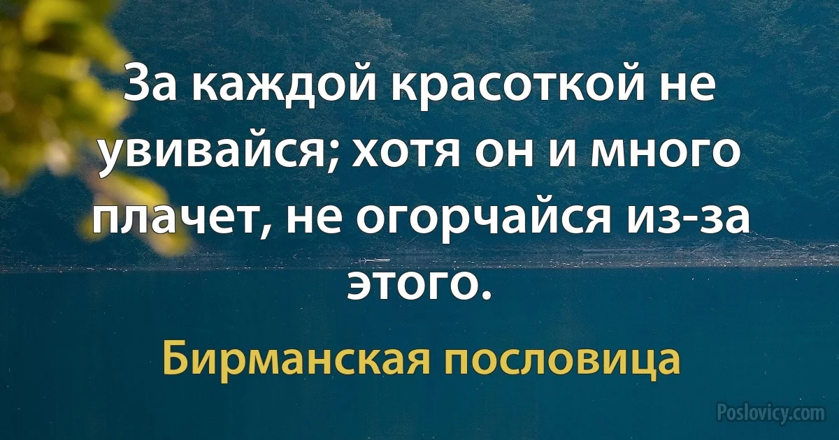 За каждой красоткой не увивайся; хотя он и много плачет, не огорчайся из-за этого. (Бирманская пословица)