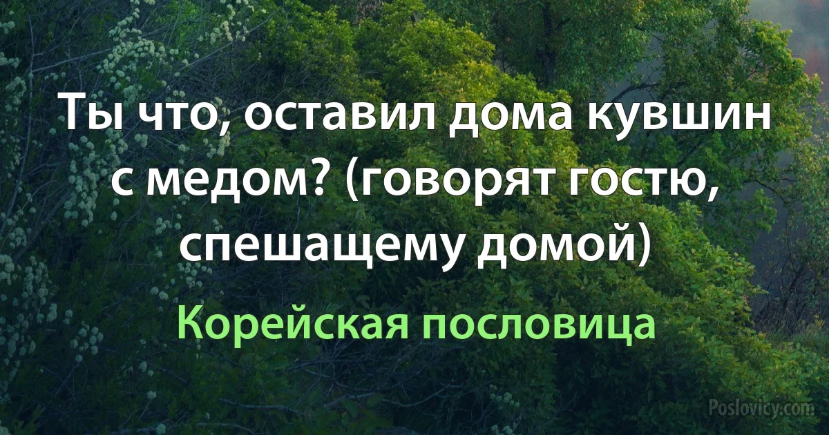 Ты что, оставил дома кувшин с медом? (говорят гостю, спешащему домой) (Корейская пословица)