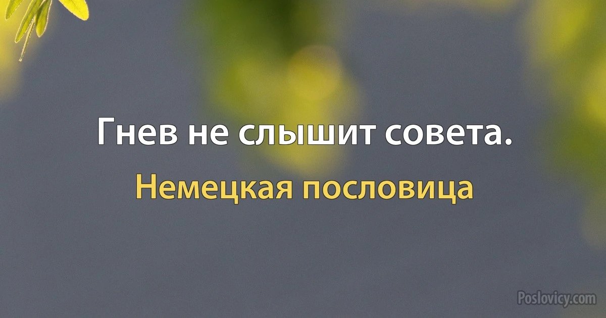 Гнев не слышит совета. (Немецкая пословица)