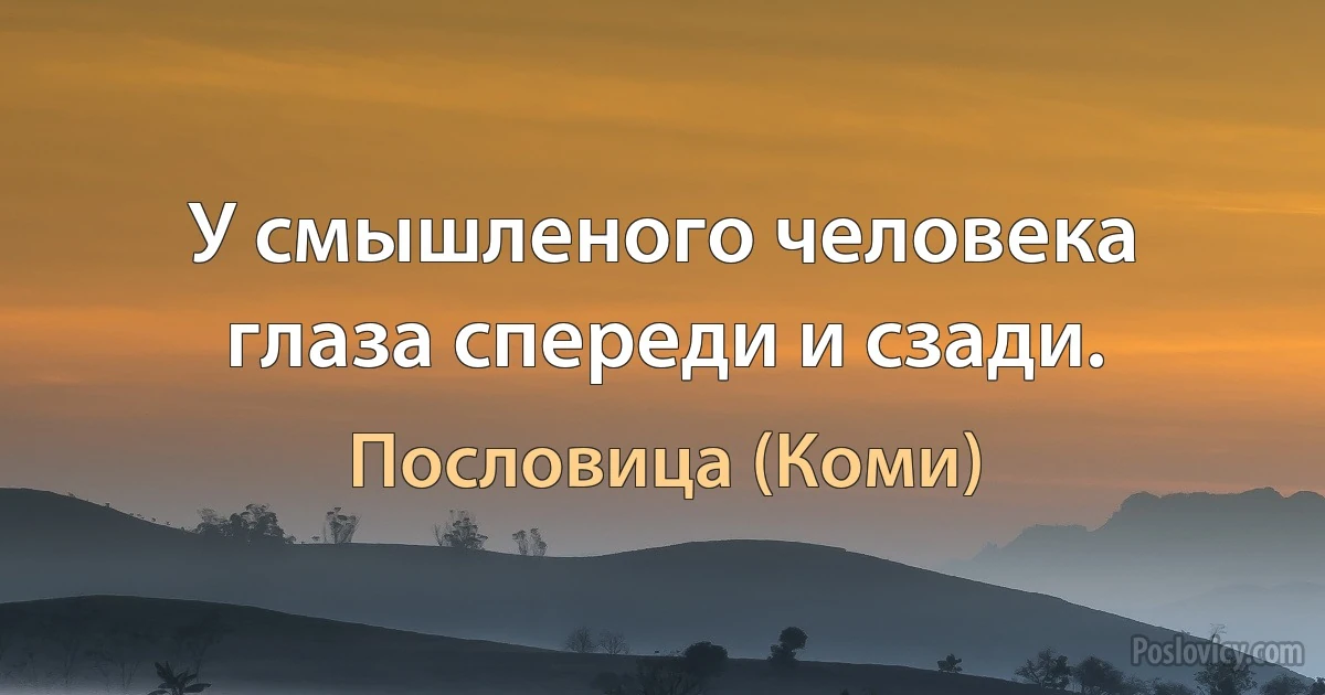 У смышленого человека глаза спереди и сзади. (Пословица (Коми))