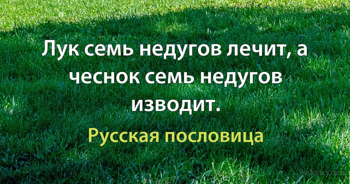 Лук семь недугов лечит, а чеснок семь недугов изводит. (Русская пословица)