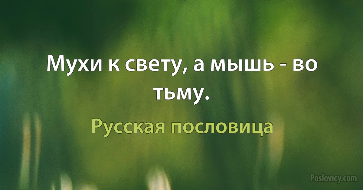 Мухи к свету, а мышь - во тьму. (Русская пословица)