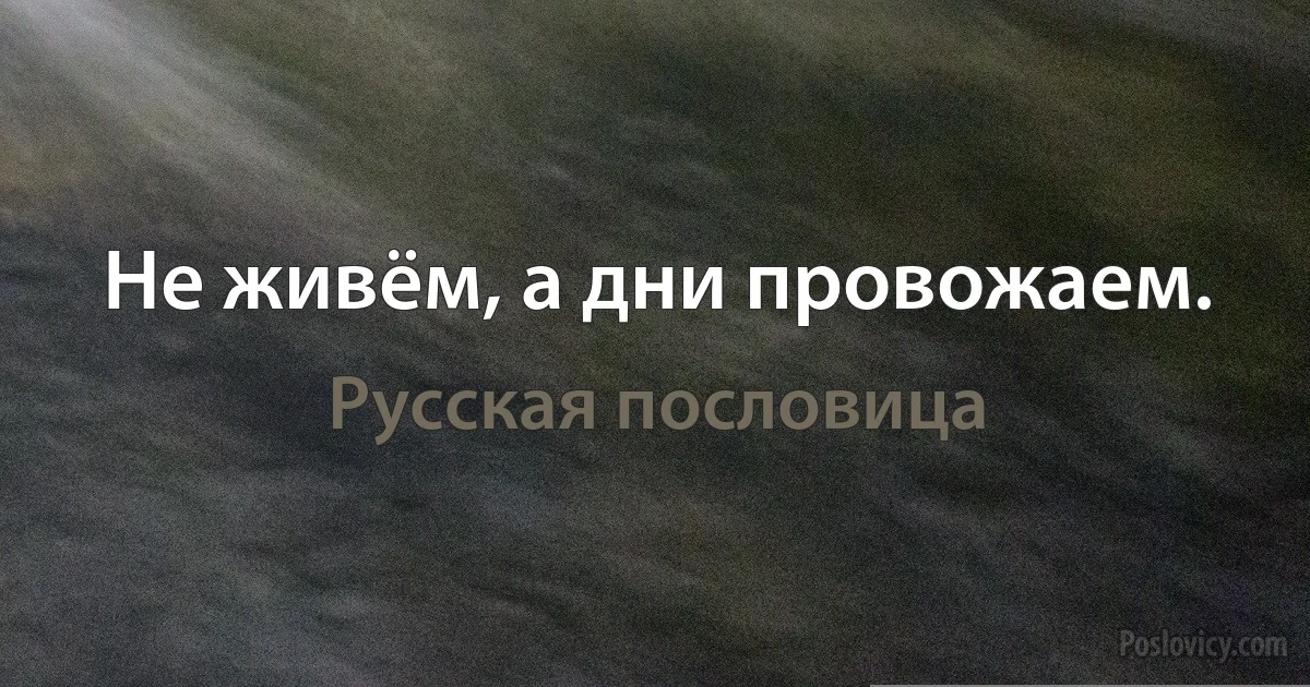 Не живём, а дни провожаем. (Русская пословица)