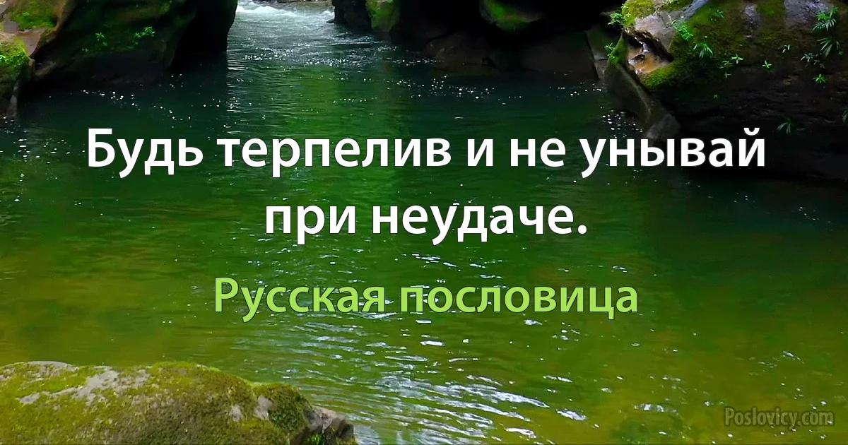 Будь терпелив и не унывай при неудаче. (Русская пословица)