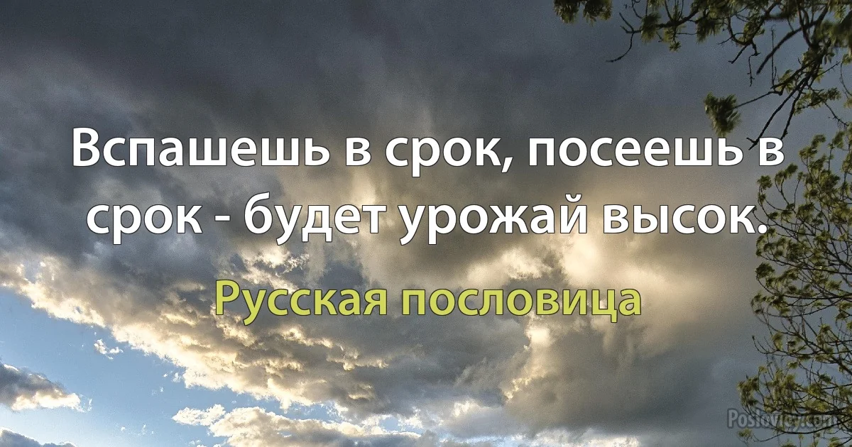 Вспашешь в срок, посеешь в срок - будет урожай высок. (Русская пословица)