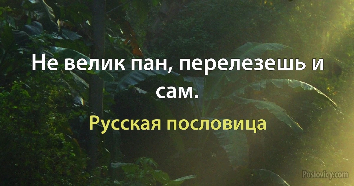 Не велик пан, перелезешь и сам. (Русская пословица)