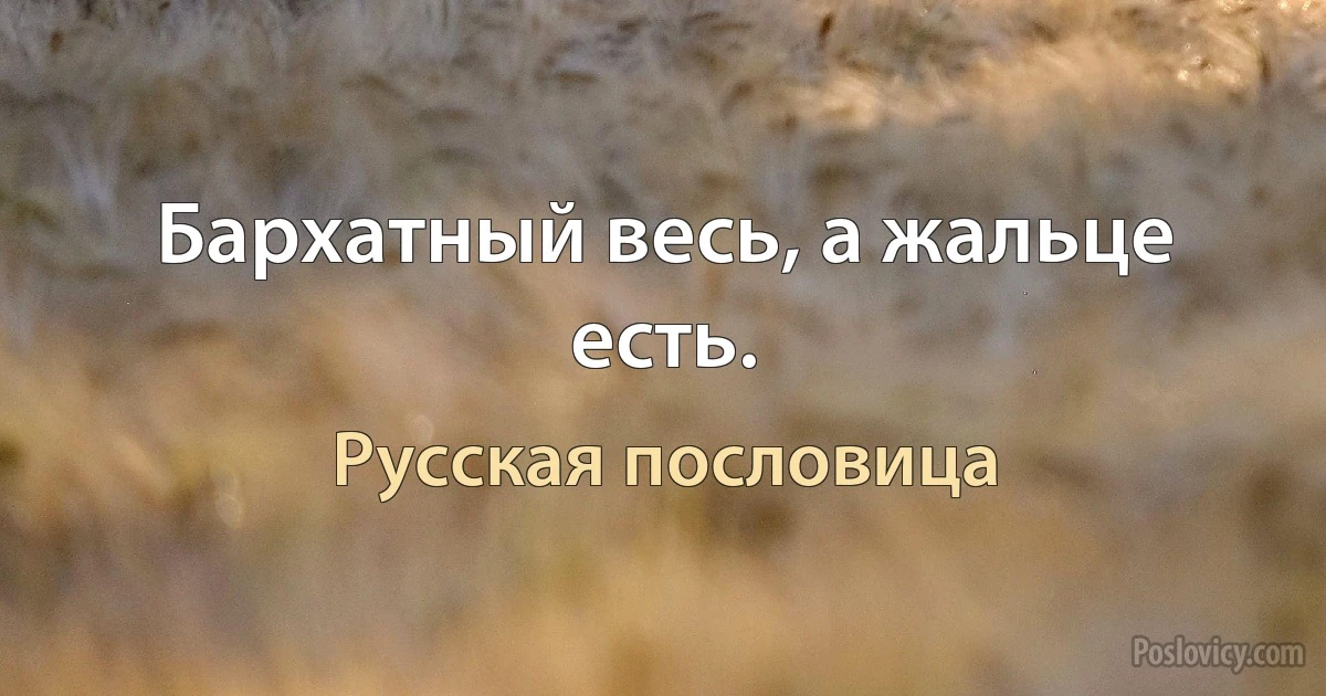 Бархатный весь, а жальце есть. (Русская пословица)