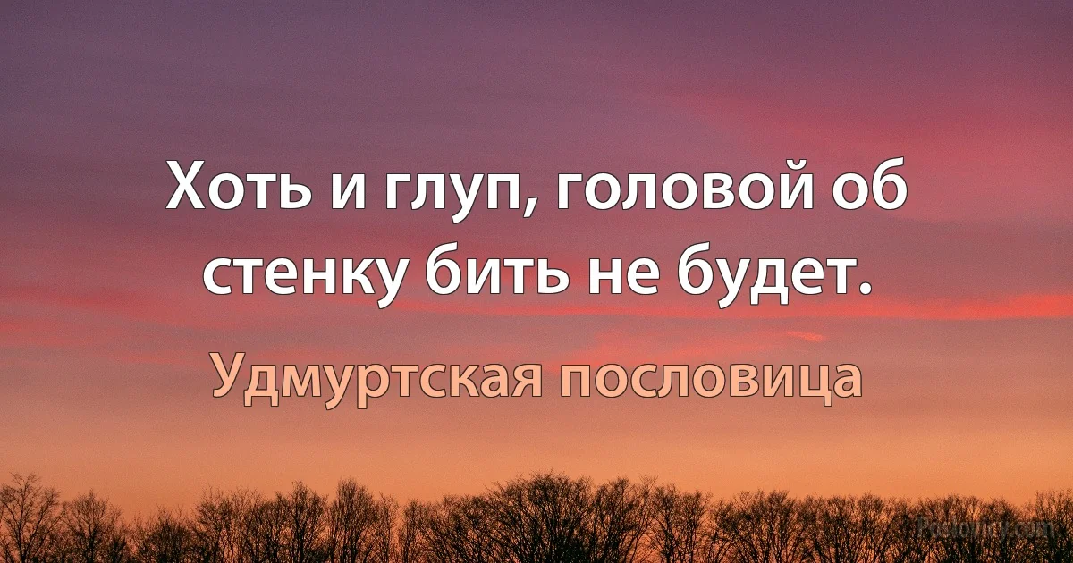 Хоть и глуп, головой об стенку бить не будет. (Удмуртская пословица)