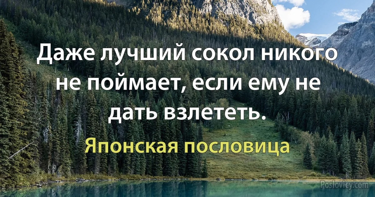 Даже лучший сокол никого не поймает, если ему не дать взлететь. (Японская пословица)