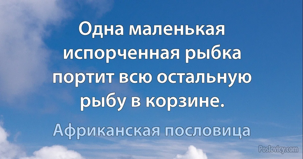 Одна маленькая испорченная рыбка портит всю остальную рыбу в корзине. (Африканская пословица)