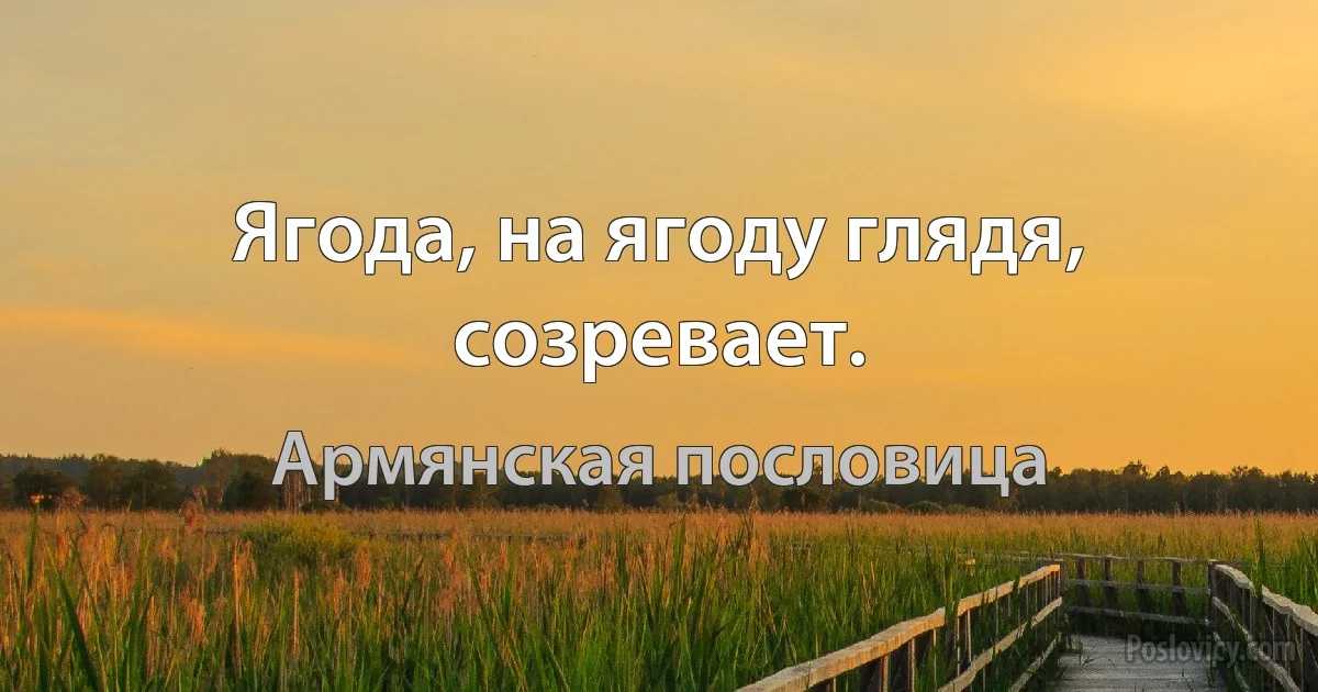 Ягода, на ягоду глядя, созревает. (Армянская пословица)