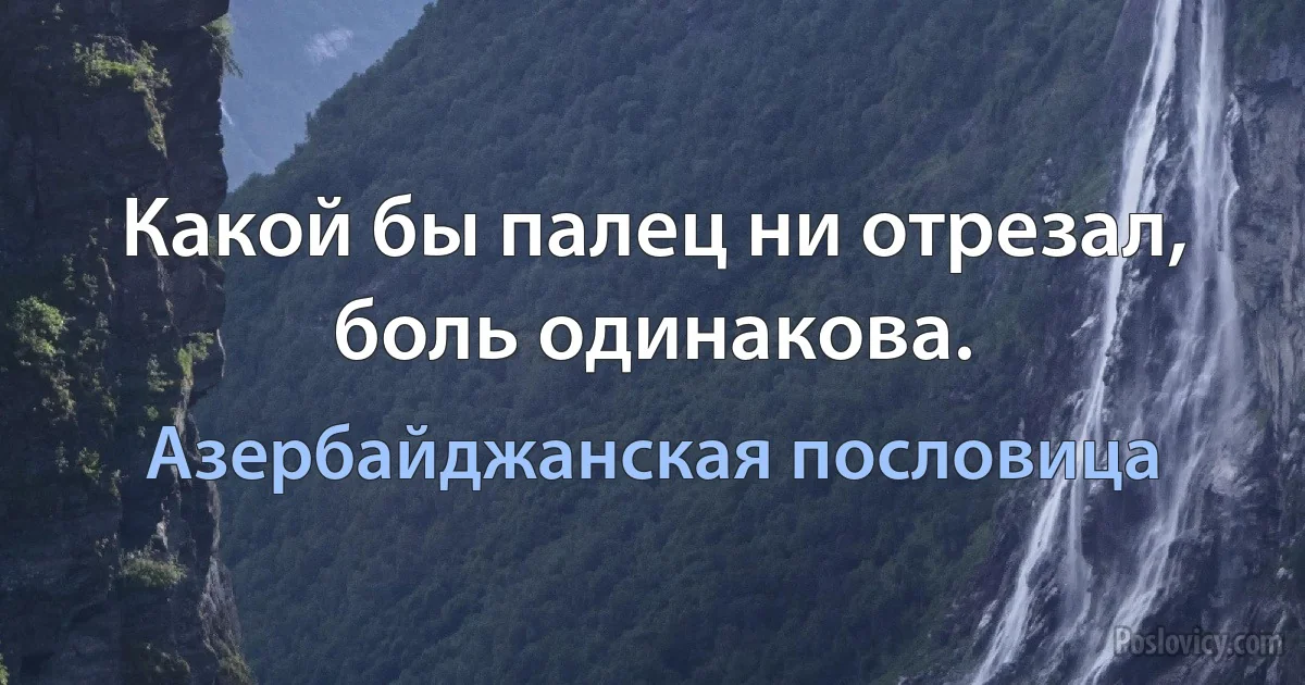 Какой бы палец ни отрезал, боль одинакова. (Азербайджанская пословица)