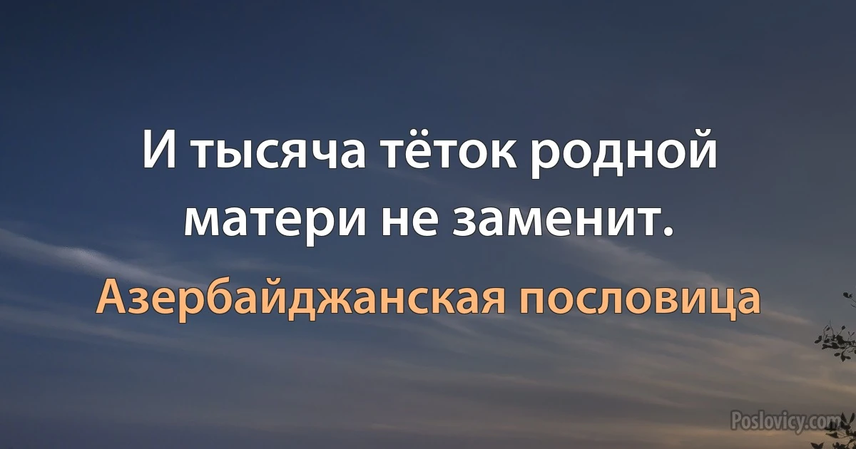 И тысяча тёток родной матери не заменит. (Азербайджанская пословица)