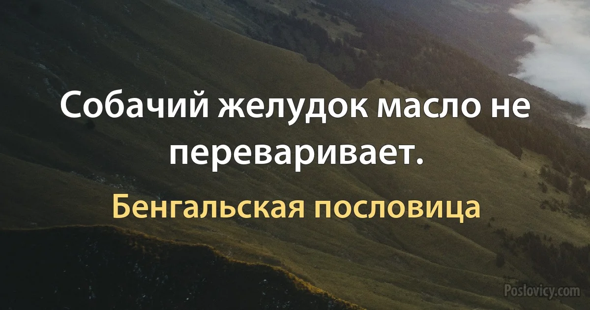 Собачий желудок масло не переваривает. (Бенгальская пословица)