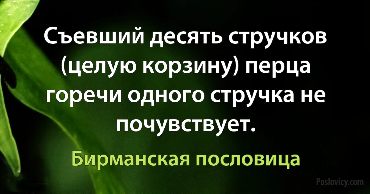 Съевший десять стручков (целую корзину) перца горечи одного стручка не почувствует. (Бирманская пословица)