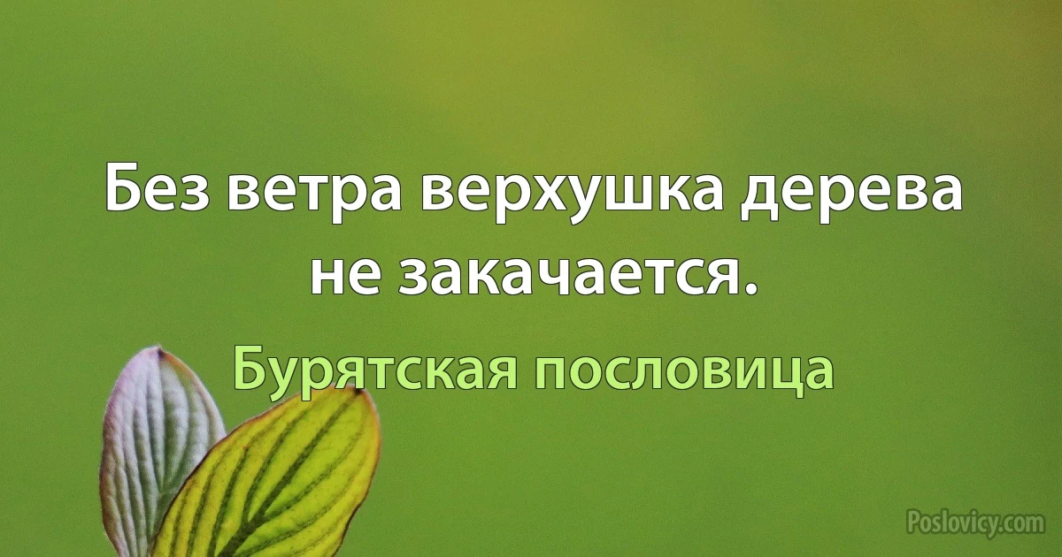 Без ветра верхушка дерева не закачается. (Бурятская пословица)