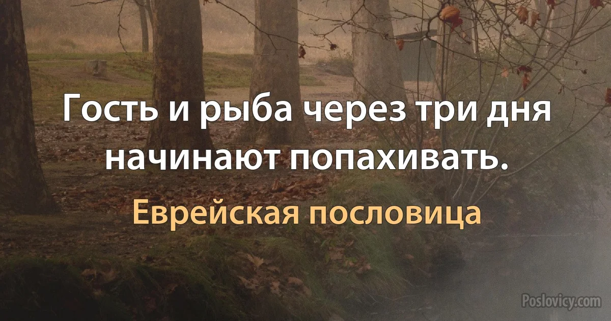 Гость и рыба через три дня начинают попахивать. (Еврейская пословица)