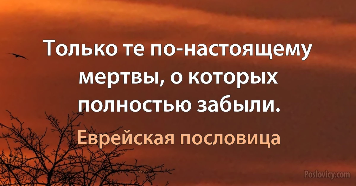 Только те по-настоящему мертвы, о которых полностью забыли. (Еврейская пословица)