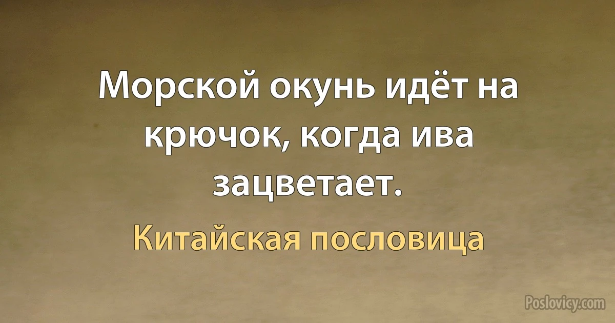 Морской окунь идёт на крючок, когда ива зацветает. (Китайская пословица)