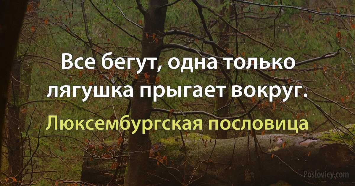 Все бегут, одна только лягушка прыгает вокруг. (Люксембургская пословица)