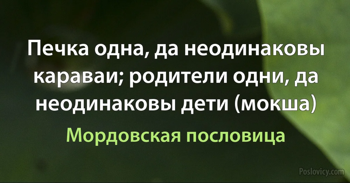 Печка одна, да неодинаковы караваи; родители одни, да неодинаковы дети (мокша) (Мордовская пословица)