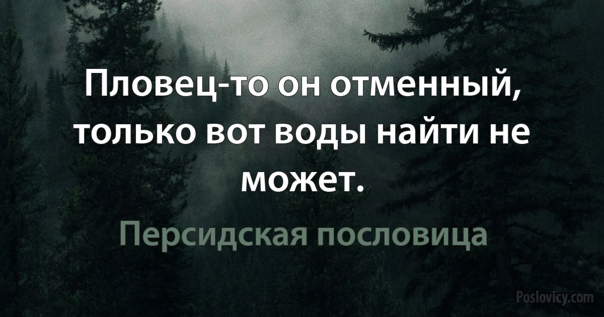 Пловец-то он отменный, только вот воды найти не может. (Персидская пословица)