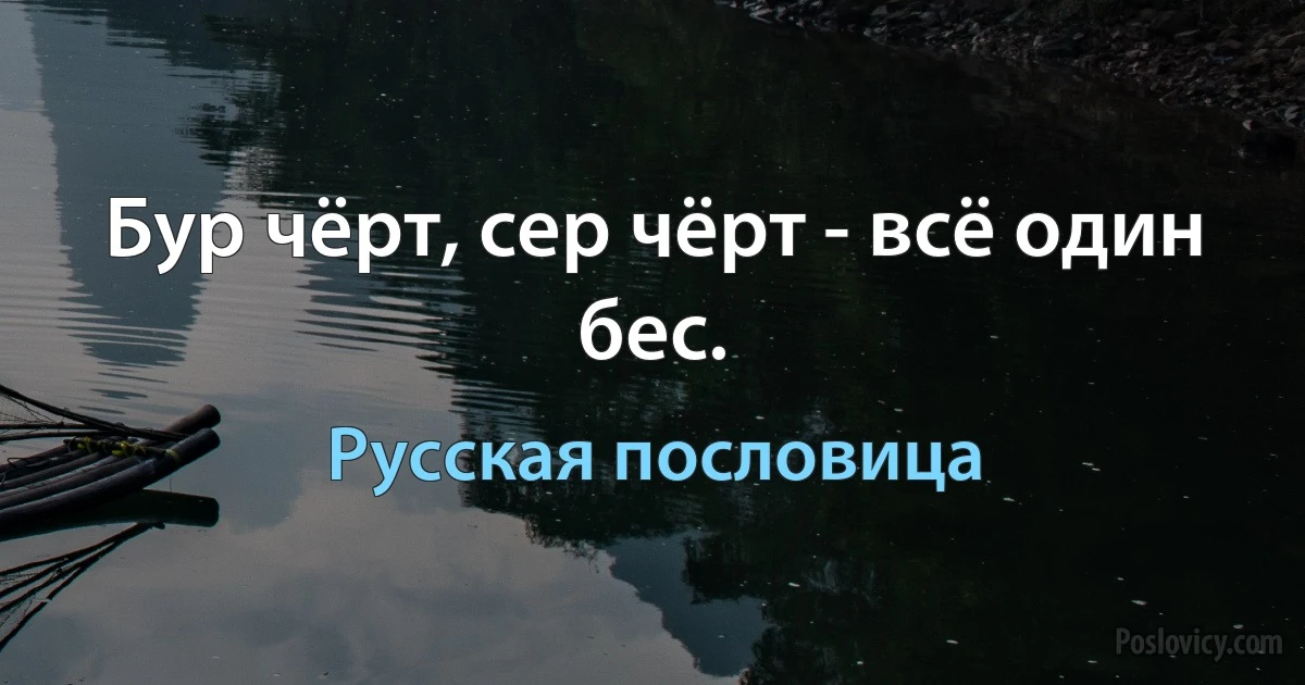 Бур чёрт, сер чёрт - всё один бес. (Русская пословица)