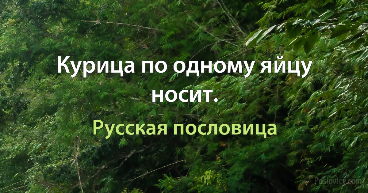 Курица по одному яйцу носит. (Русская пословица)