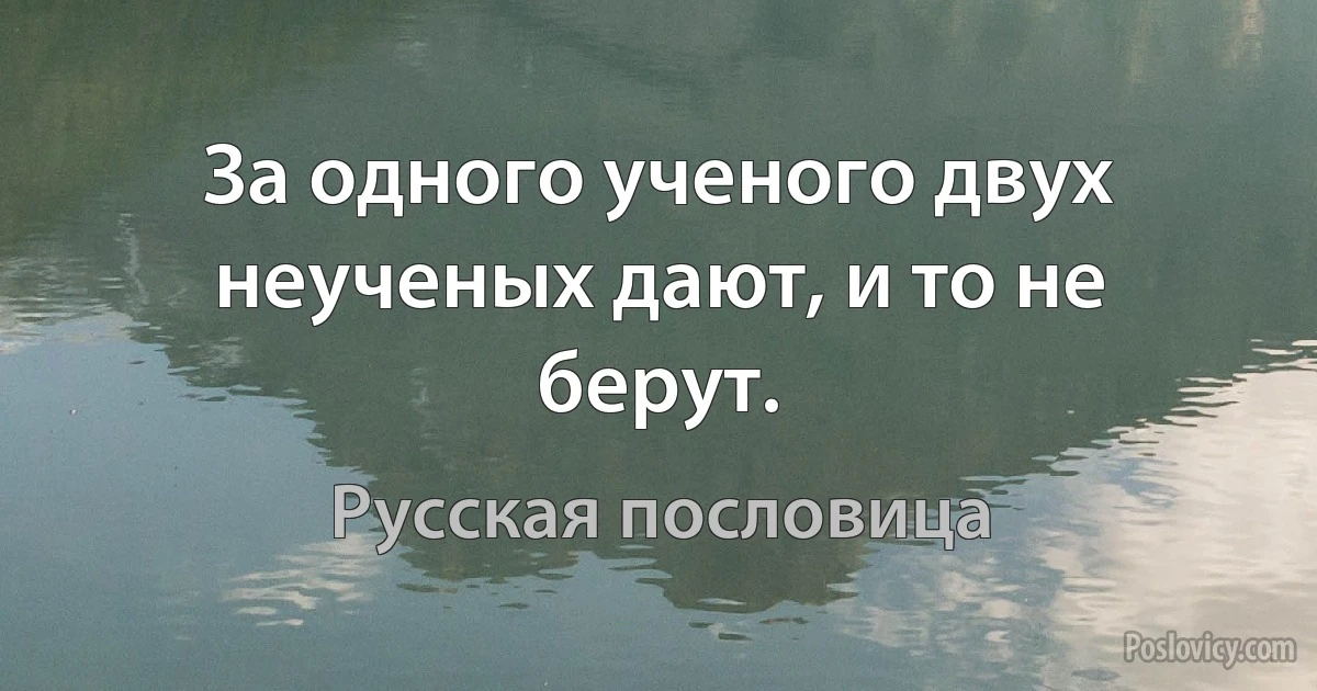 За одного ученого двух неученых дают, и то не берут. (Русская пословица)