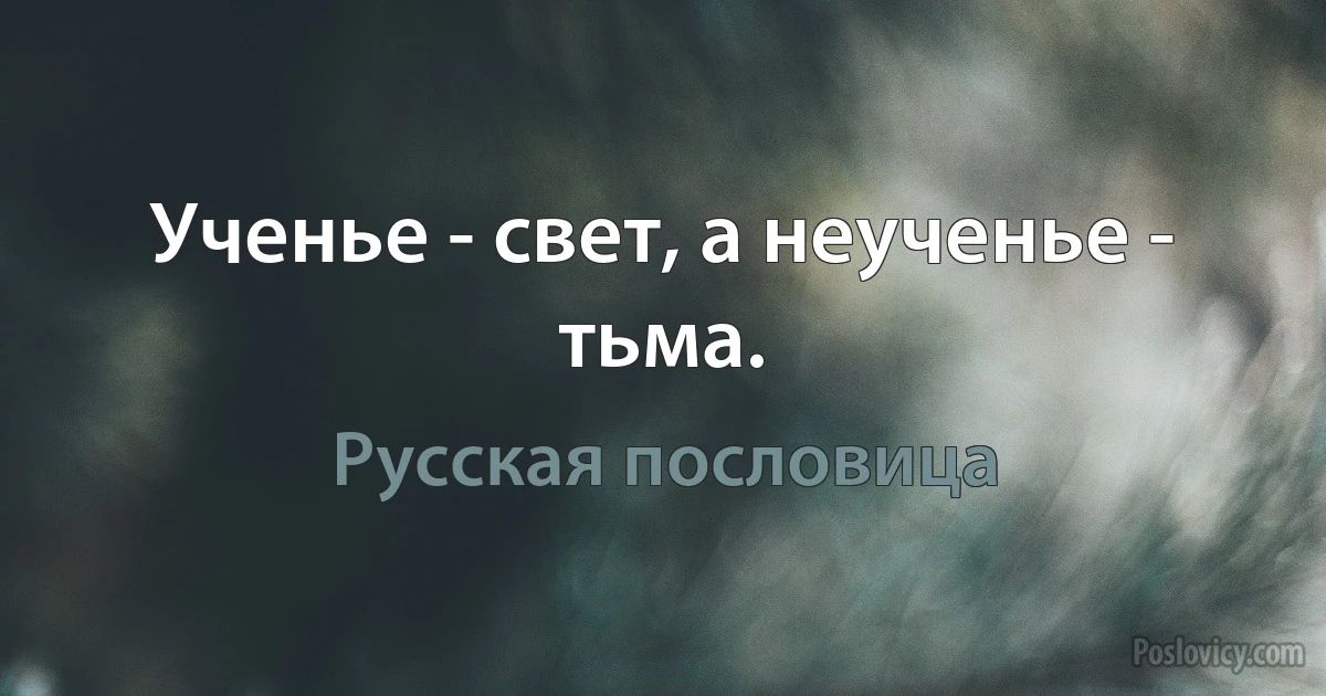 Ученье - свет, а неученье - тьма. (Русская пословица)