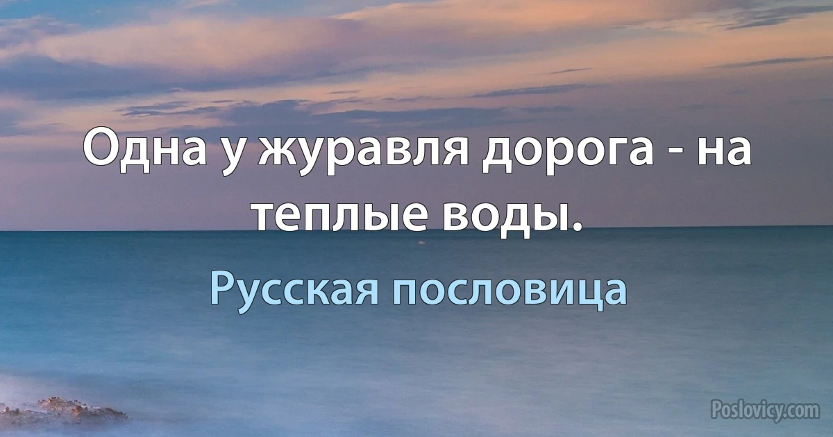 Одна у журавля дорога - на теплые воды. (Русская пословица)